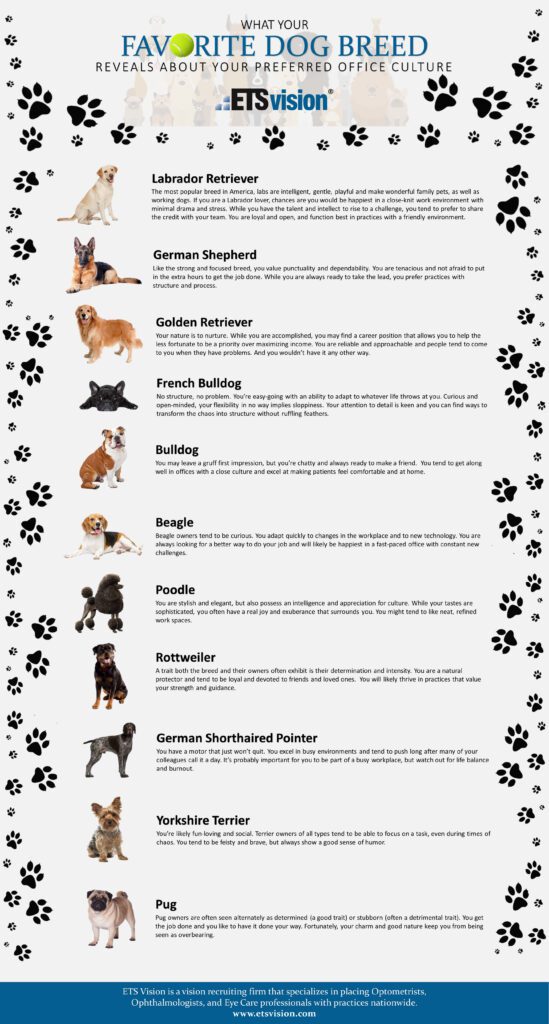 What Your Favorite Dog Breed Reveals